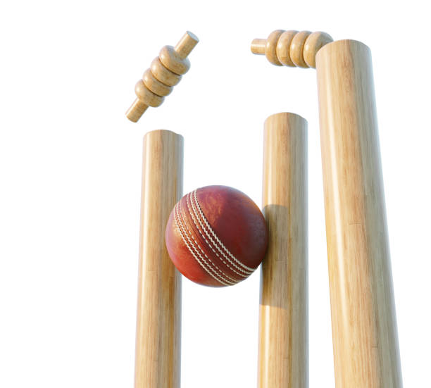 The rise of cricket analytics startups: Innovations in data-driven insights