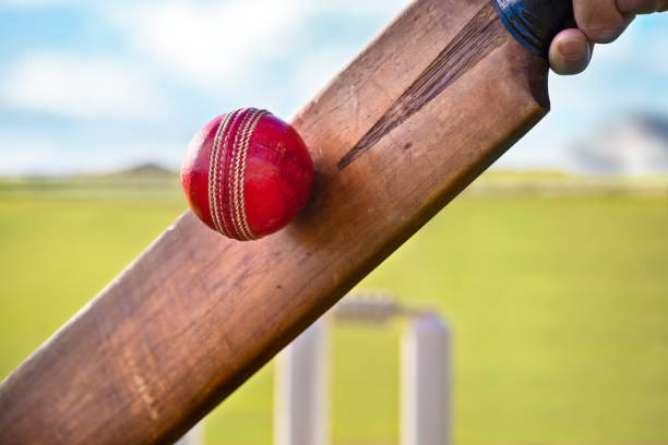 Cricket and cultural exchange: Stories of international collaboration through sport