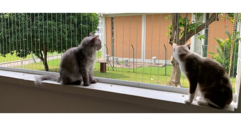 Enhancing Home Safety: The Evolution of Invisible Grilles for Cats